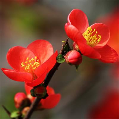 九重天传内购破解版下载