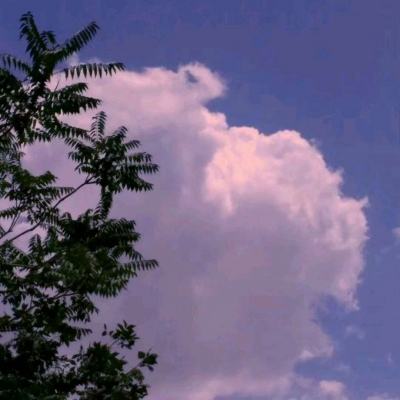暮影传说官方版下载