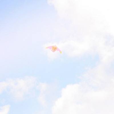 月神战纪官方版下载